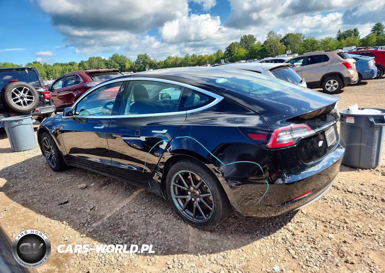 2019 Tesla Model 3 VIN:5YJ3E1EB4KF451449 - 2