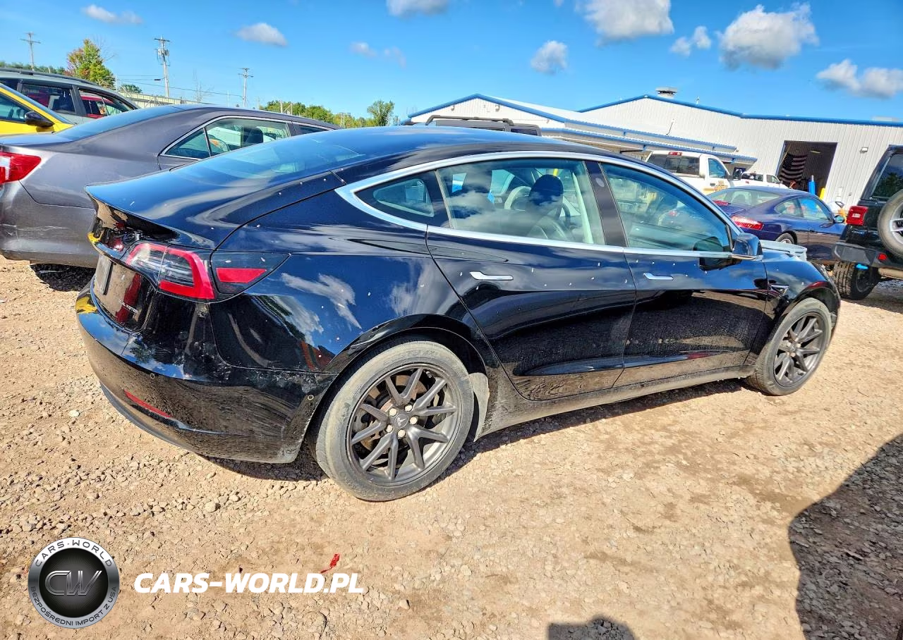 2019 Tesla Model 3 VIN:5YJ3E1EB4KF451449 - 3
