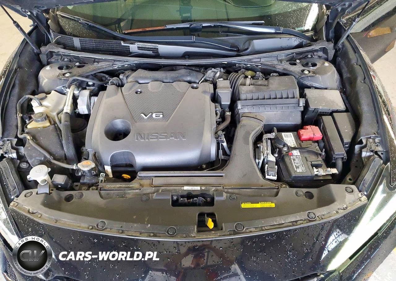 2020 Nissan Maxima Sl VIN:1N4AA6DV9LC368177 - 11