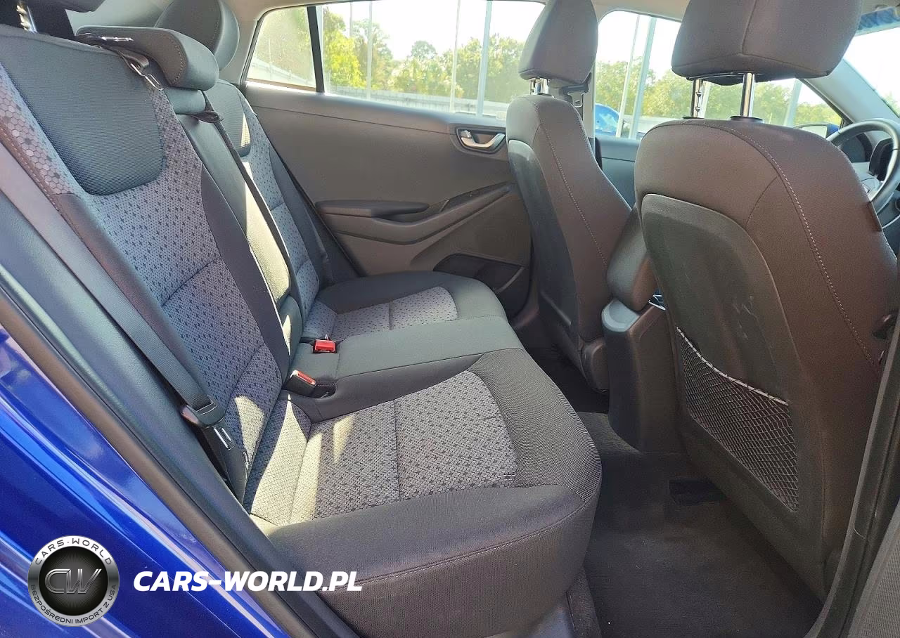 2019 Hyundai Ioniq Electric Base VIN:KMHC75LH4KU048616 - 10
