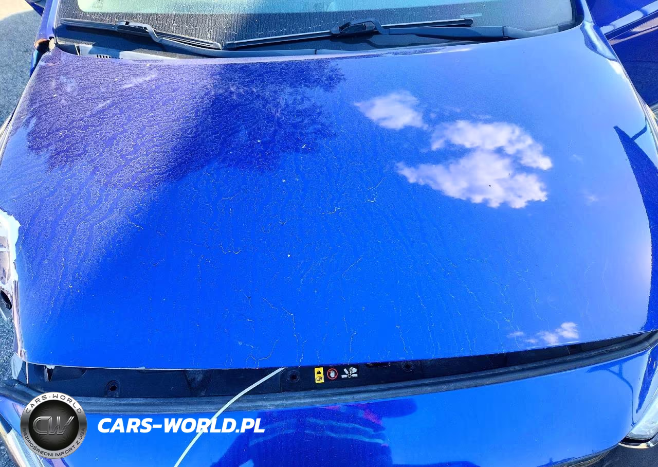 2019 Hyundai Ioniq Electric Base VIN:KMHC75LH4KU048616 - 11