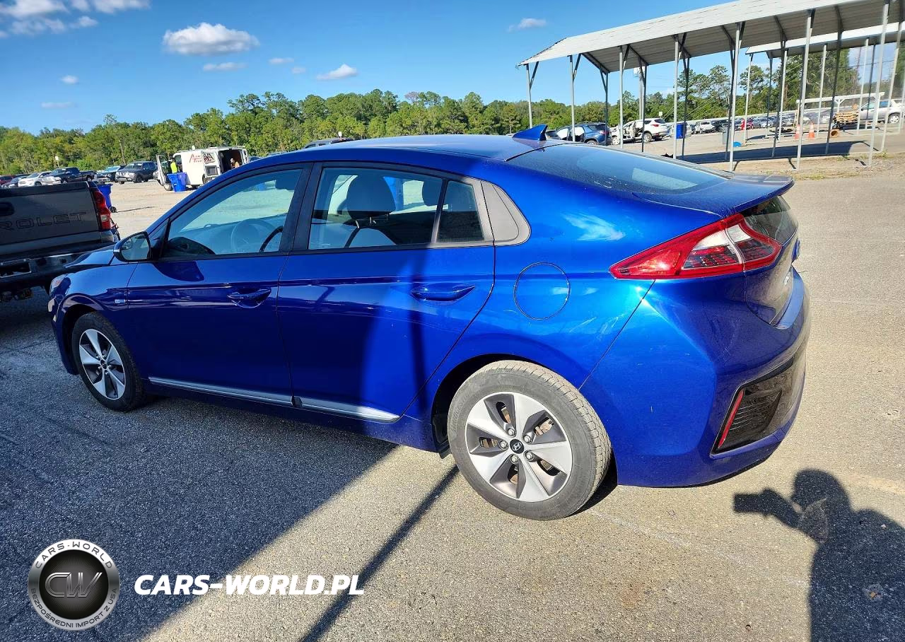 2019 Hyundai Ioniq Electric Base VIN:KMHC75LH4KU048616 - 2