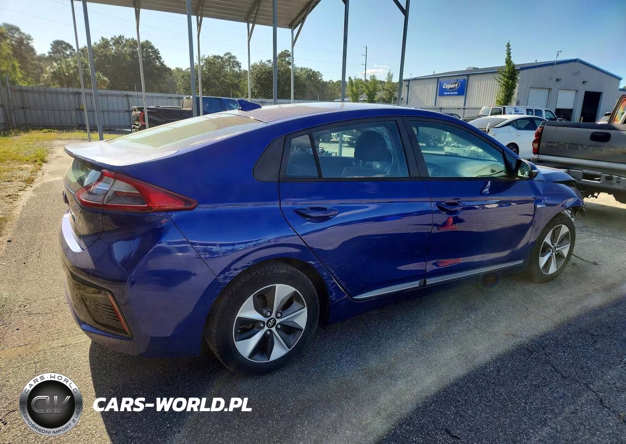 2019 Hyundai Ioniq Electric Base VIN:KMHC75LH4KU048616 - 3