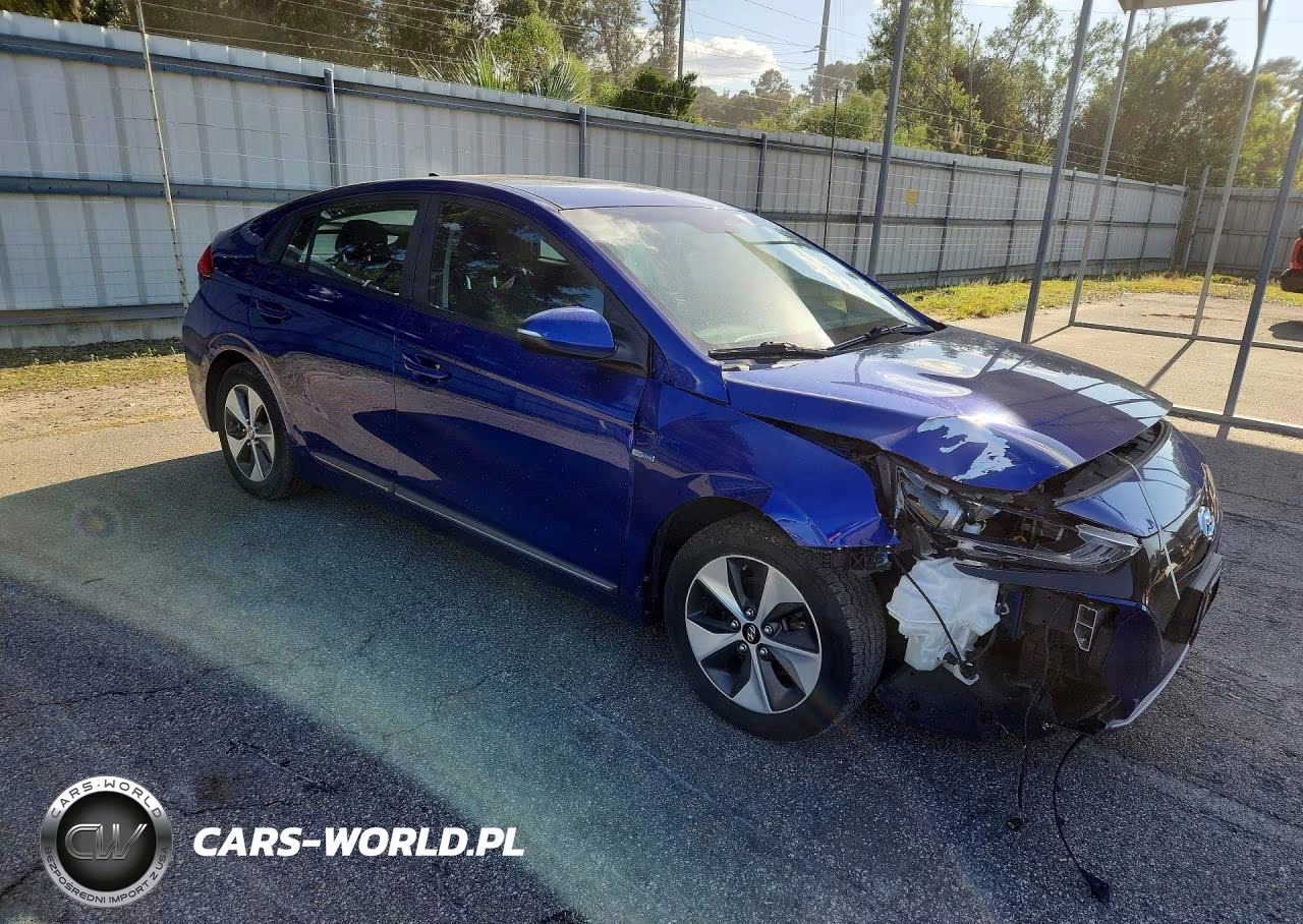 2019 Hyundai Ioniq Electric Base VIN:KMHC75LH4KU048616 - 4