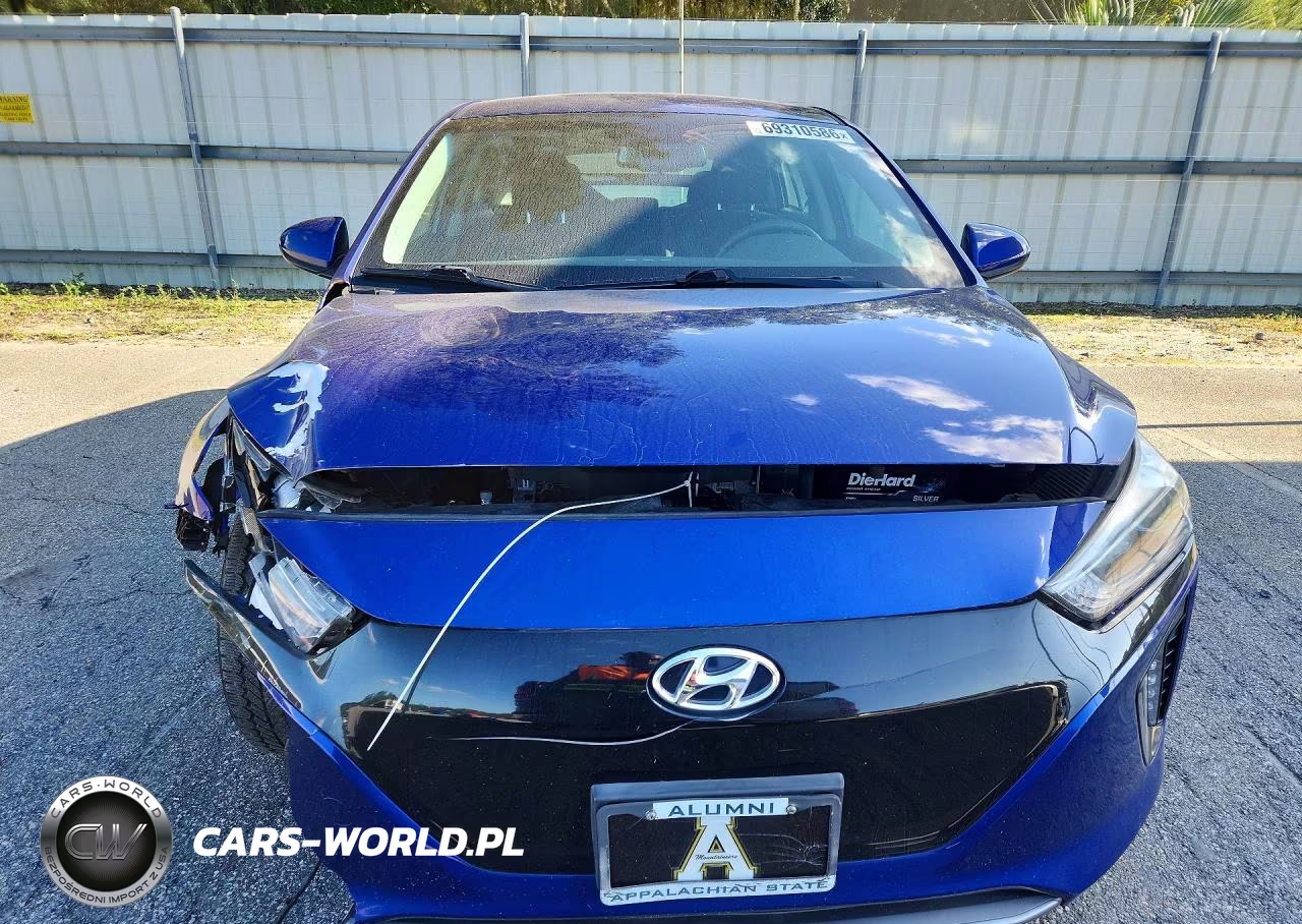 2019 Hyundai Ioniq Electric Base VIN:KMHC75LH4KU048616 - 5