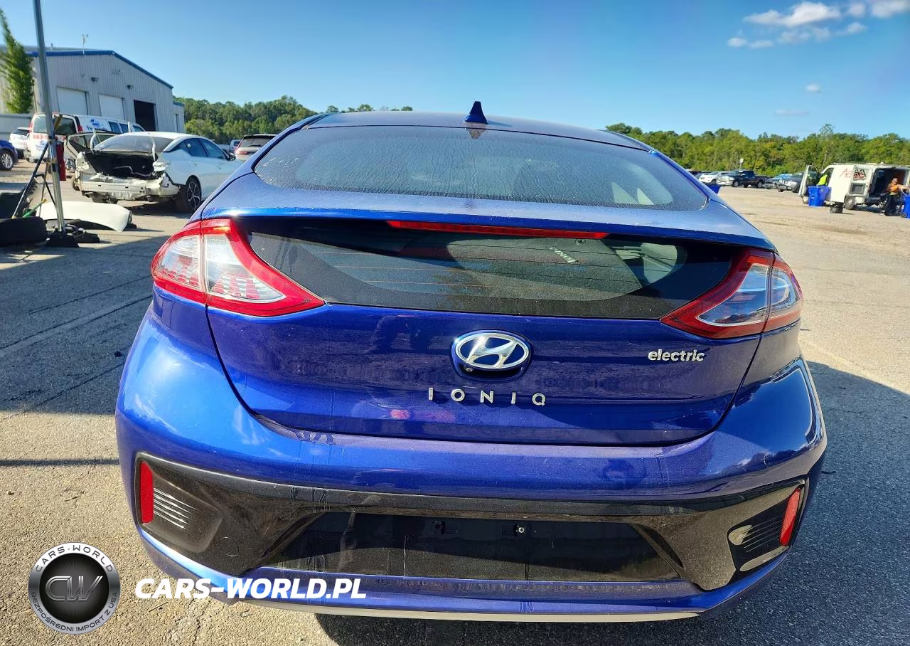 2019 Hyundai Ioniq Electric Base VIN:KMHC75LH4KU048616 - 6