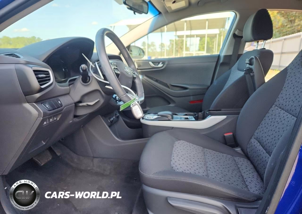 2019 Hyundai Ioniq Electric Base VIN:KMHC75LH4KU048616 - 7