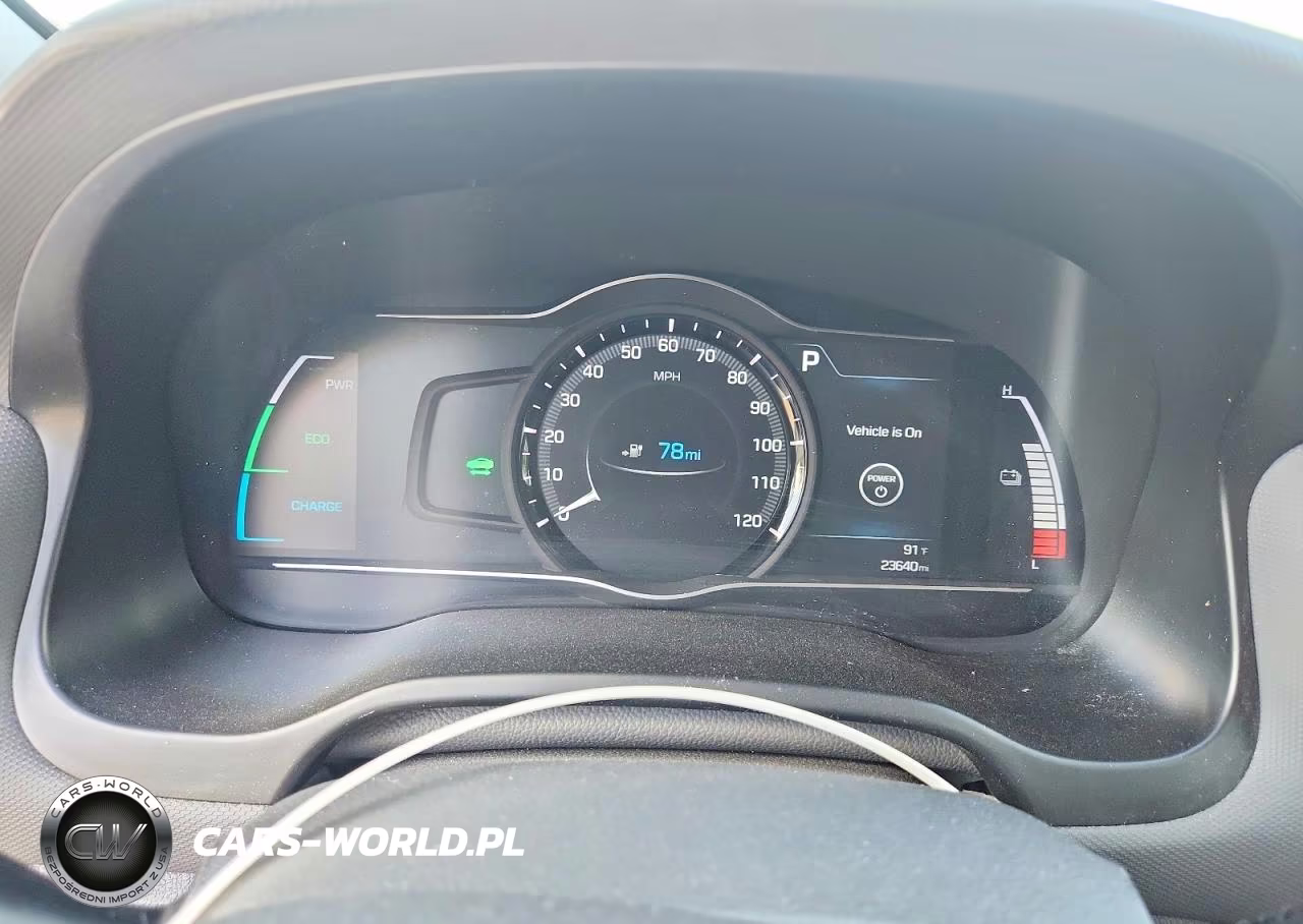 2019 Hyundai Ioniq Electric Base VIN:KMHC75LH4KU048616 - 9