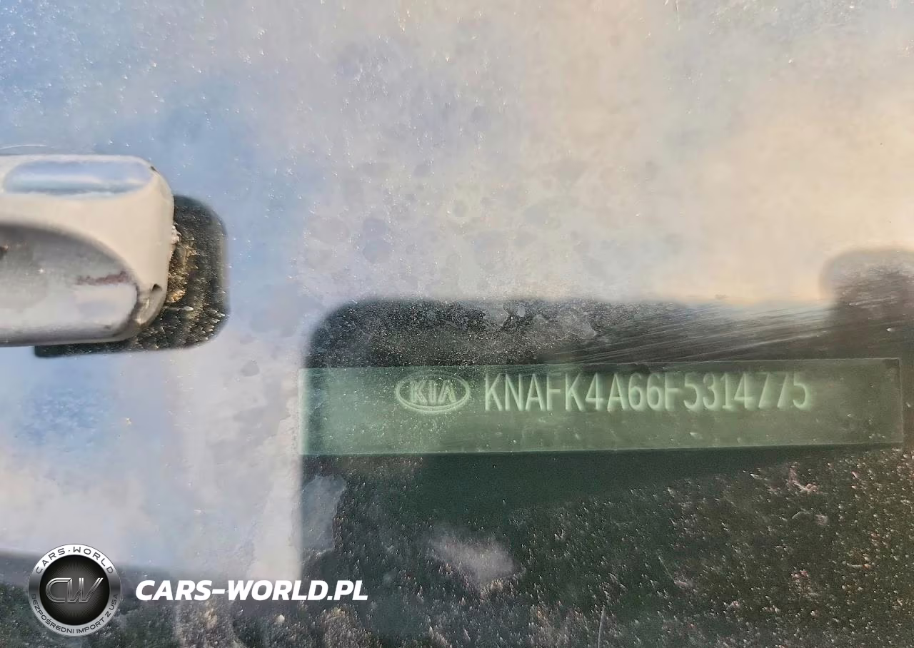 2015 Kia Forte VIN:KNAFK4A66F5314775 - 13