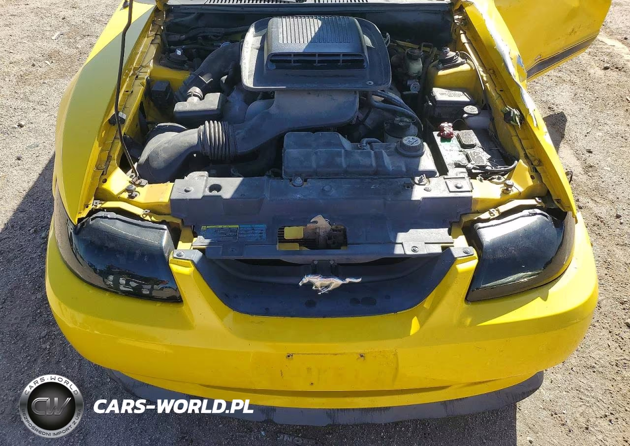 2004 Ford Mustang Mach I VIN:1FAFP42R04F233541 - 11