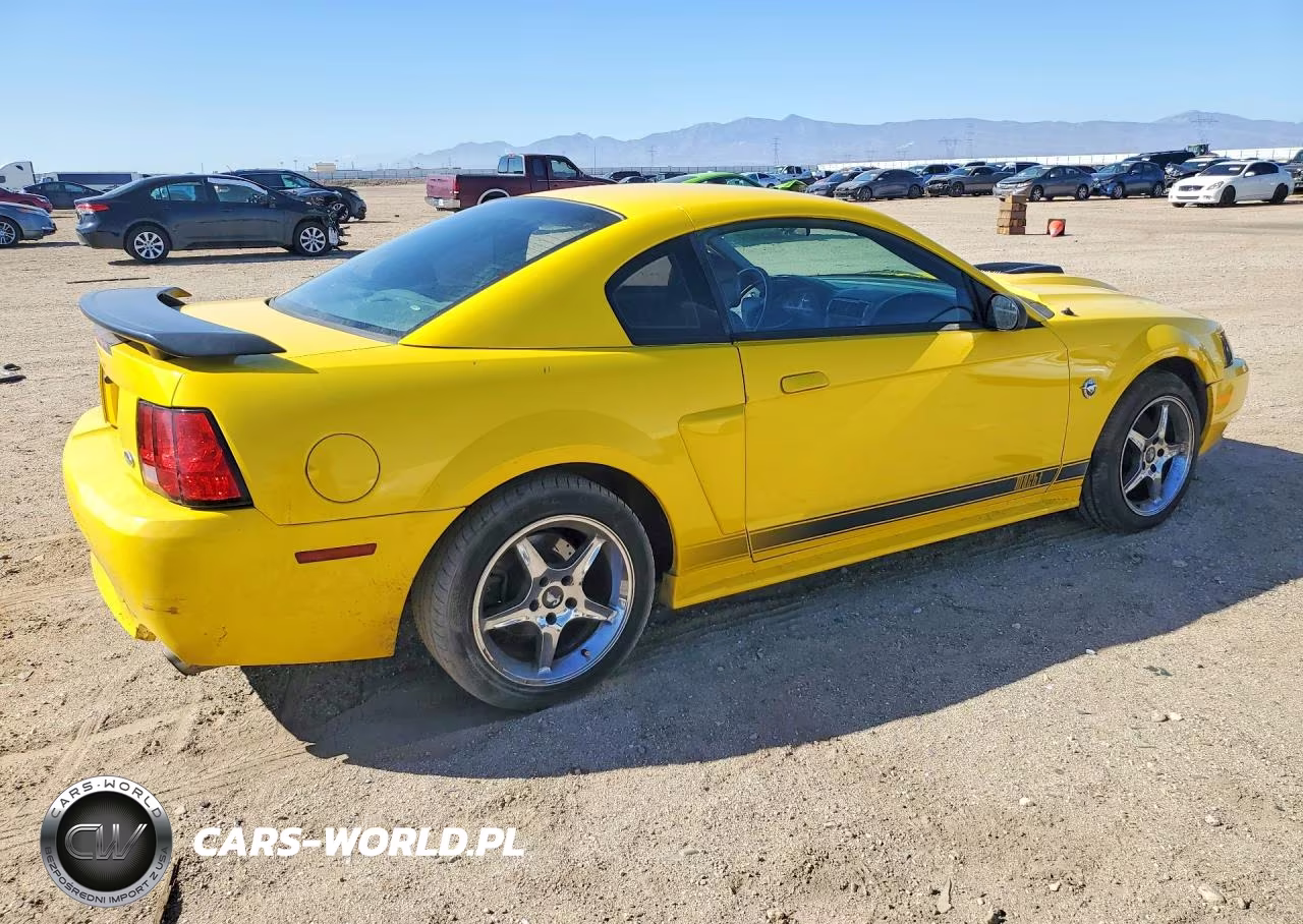 2004 Ford Mustang Mach I VIN:1FAFP42R04F233541 - 3
