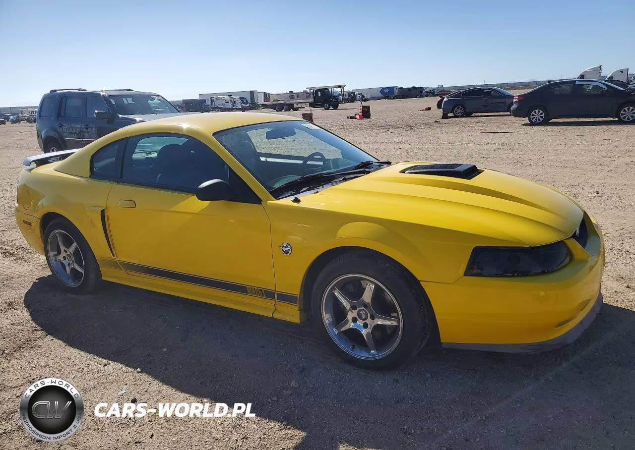 2004 Ford Mustang Mach I VIN:1FAFP42R04F233541 - 4