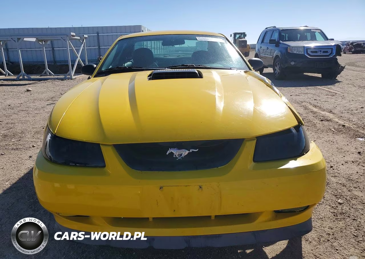 2004 Ford Mustang Mach I VIN:1FAFP42R04F233541 - 5