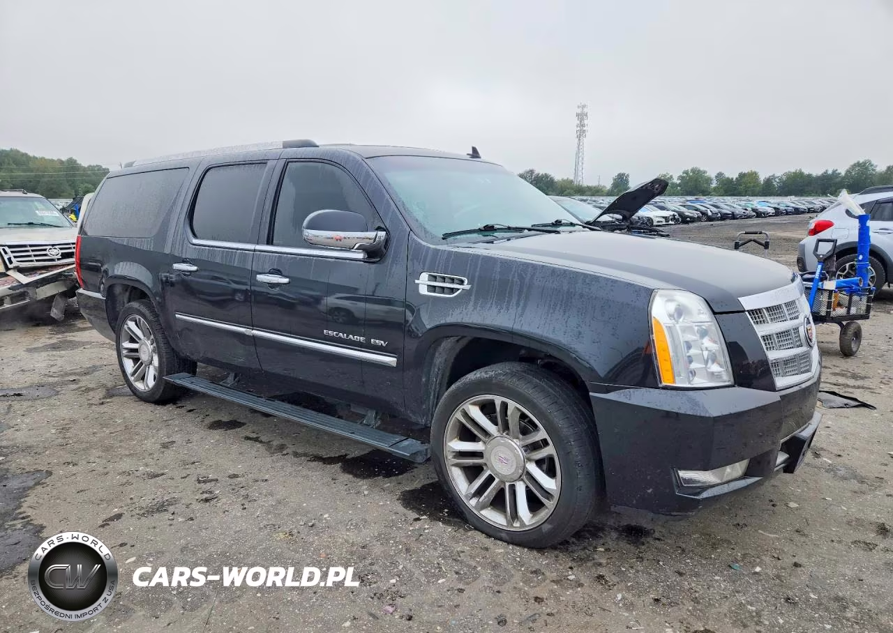 2012 Cadillac Escalade Esv Platinum VIN:1GYS4KEF9CR209477 - 4