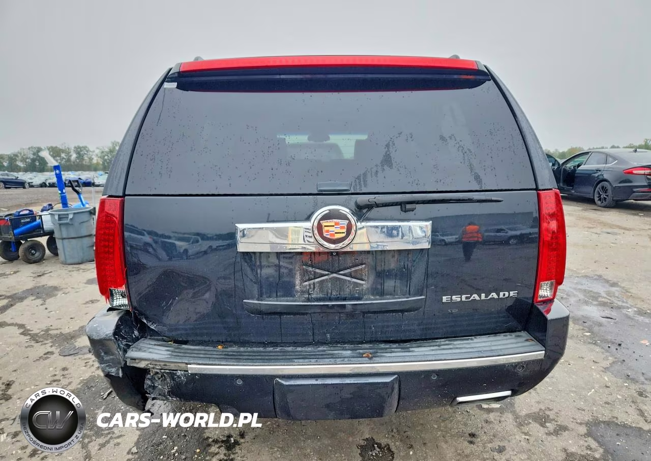 2012 Cadillac Escalade Esv Platinum VIN:1GYS4KEF9CR209477 - 6