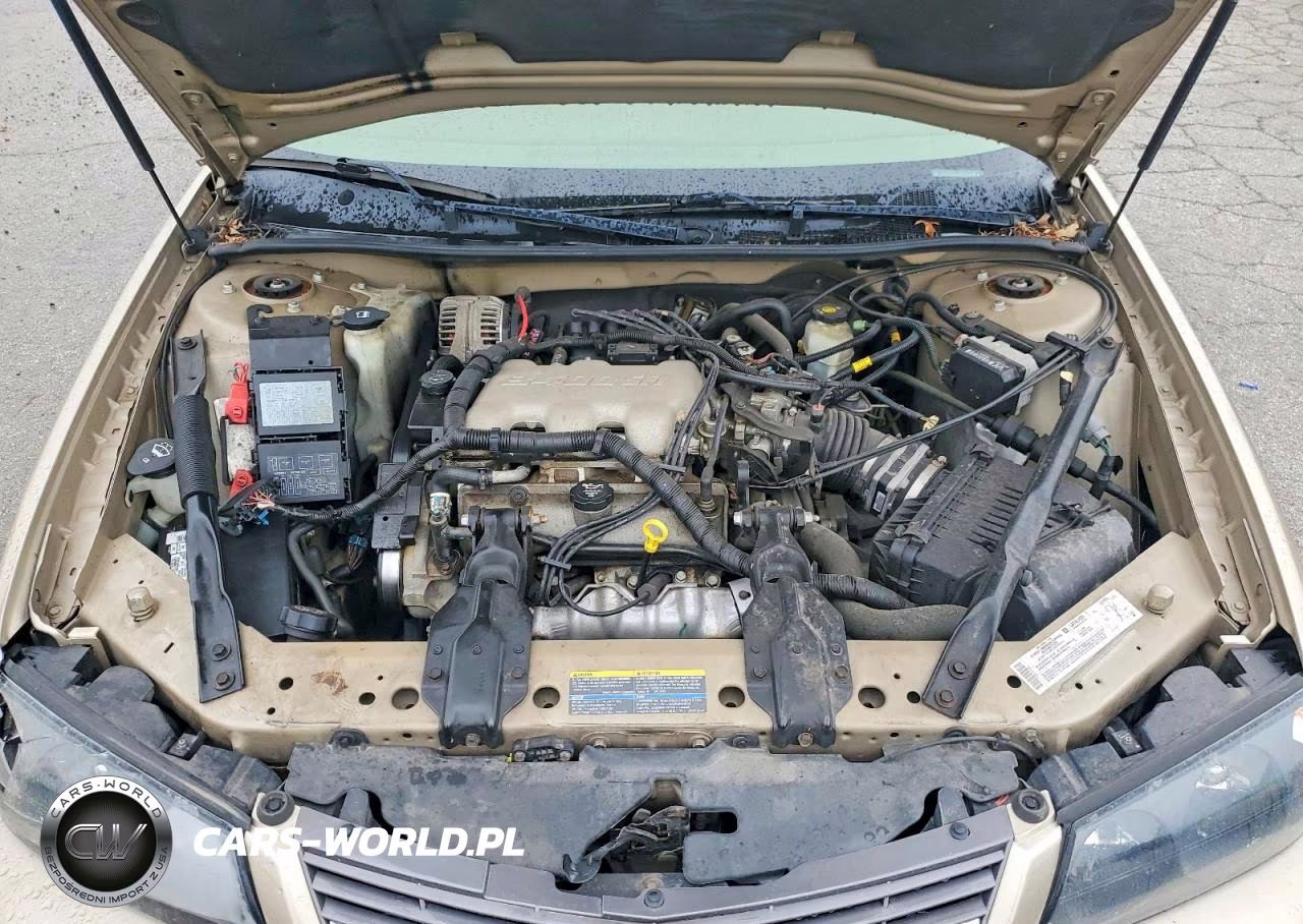 2004 Chevrolet Impala VIN:2G1WF52EX49412283 - 11