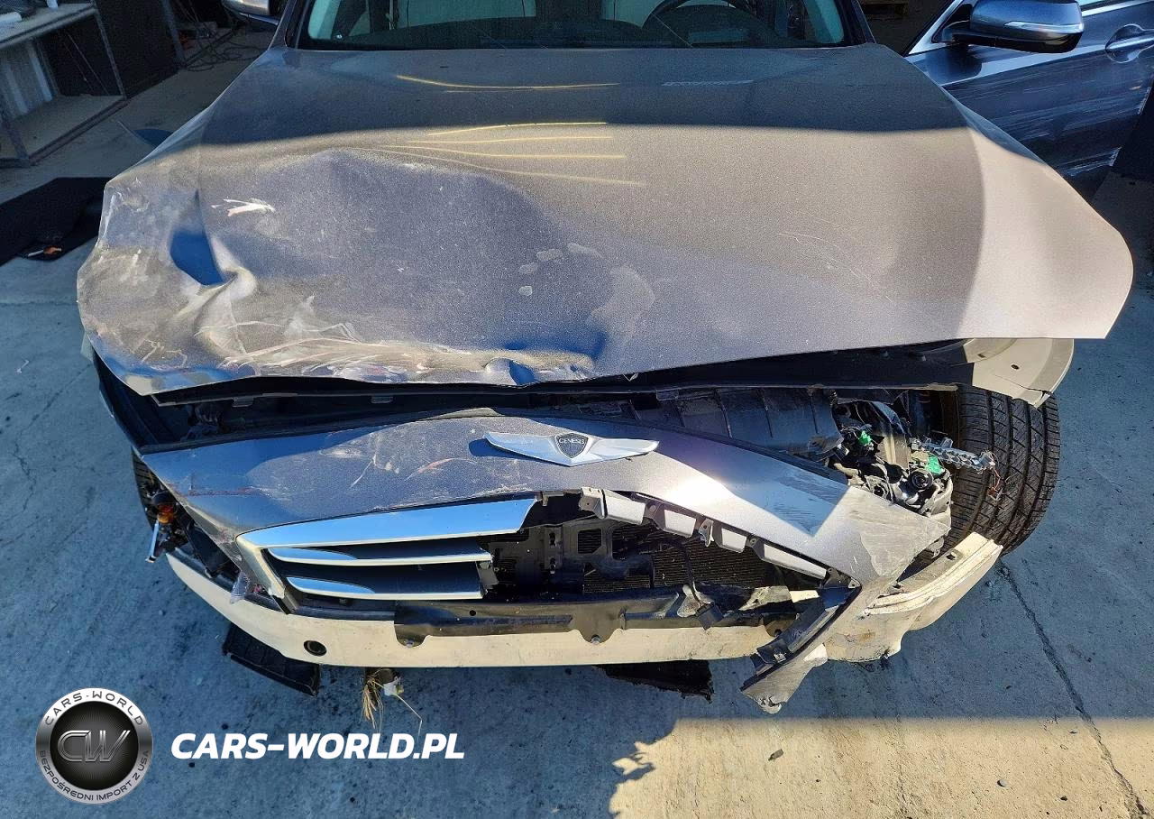 2015 Hyundai Genesis 5.0L VIN:KMHGN4JF8FU019662 - 11