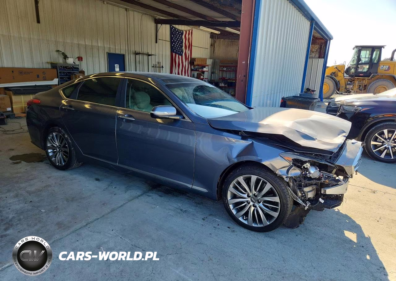 2015 Hyundai Genesis 5.0L VIN:KMHGN4JF8FU019662 - 4