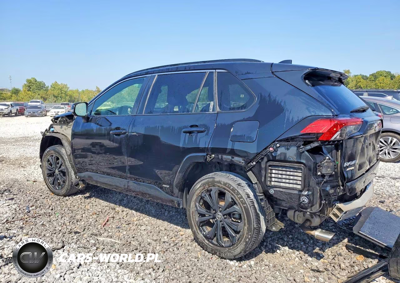 2022 Toyota Rav4 Se VIN:JTM16RFV2ND531176 - 2