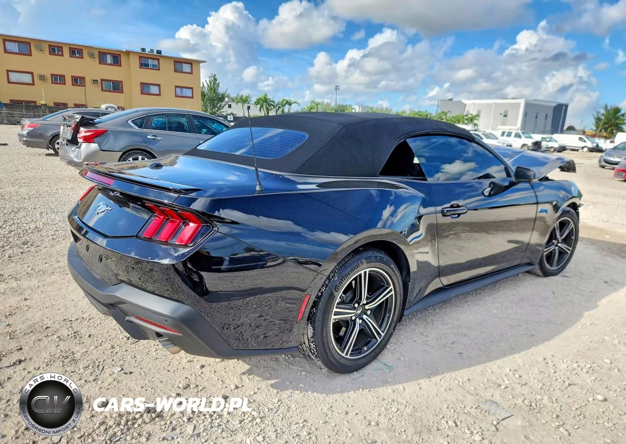 2025 Ford Mustang VIN:1FAGP8UH9S5121856 - 3