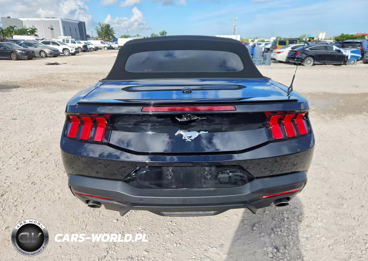 2025 Ford Mustang VIN:1FAGP8UH9S5121856 - 6