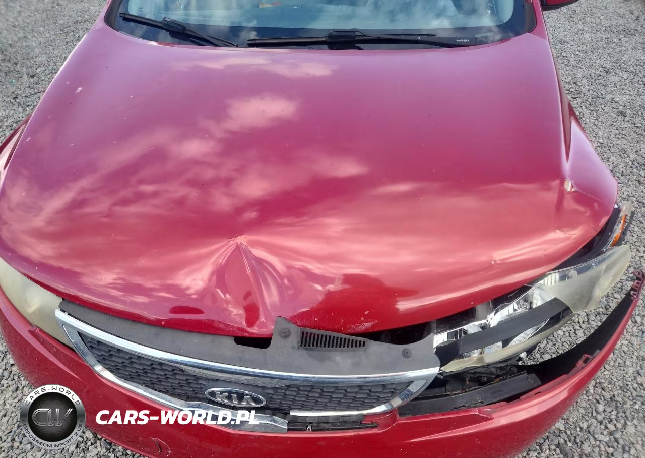 2013 Kia Forte Ex VIN:KNAFU4A29D5695137 - 11