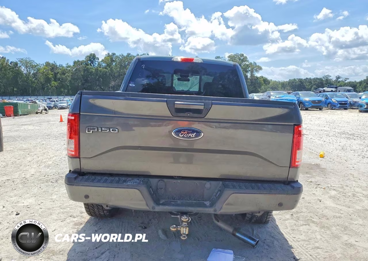 2016 Ford F150 Supercrew VIN:1FTEW1EG2GKF52579 - 6