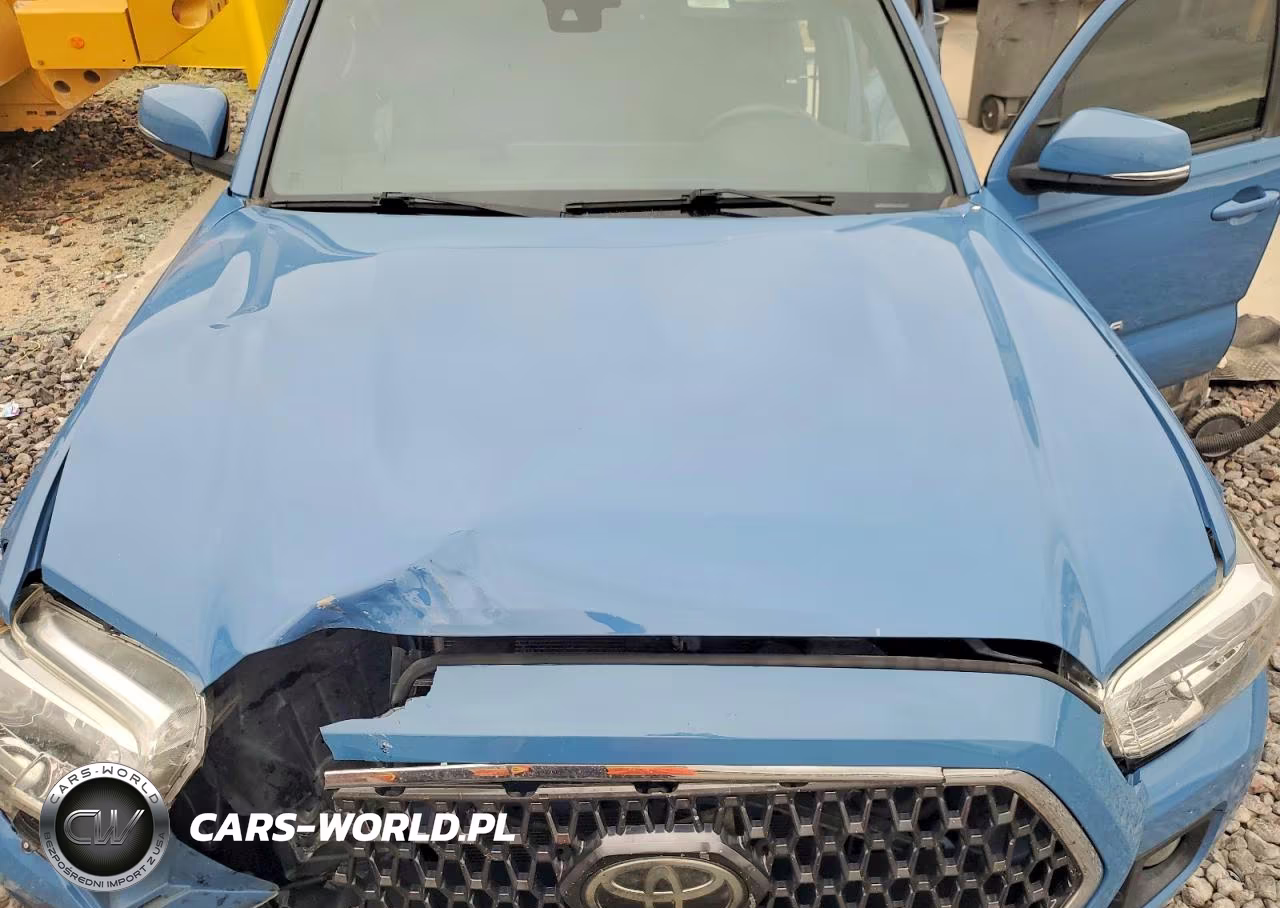 2019 Toyota Tacoma Trd Off-Road VIN:3TMCZ5AN7KM194942 - 11