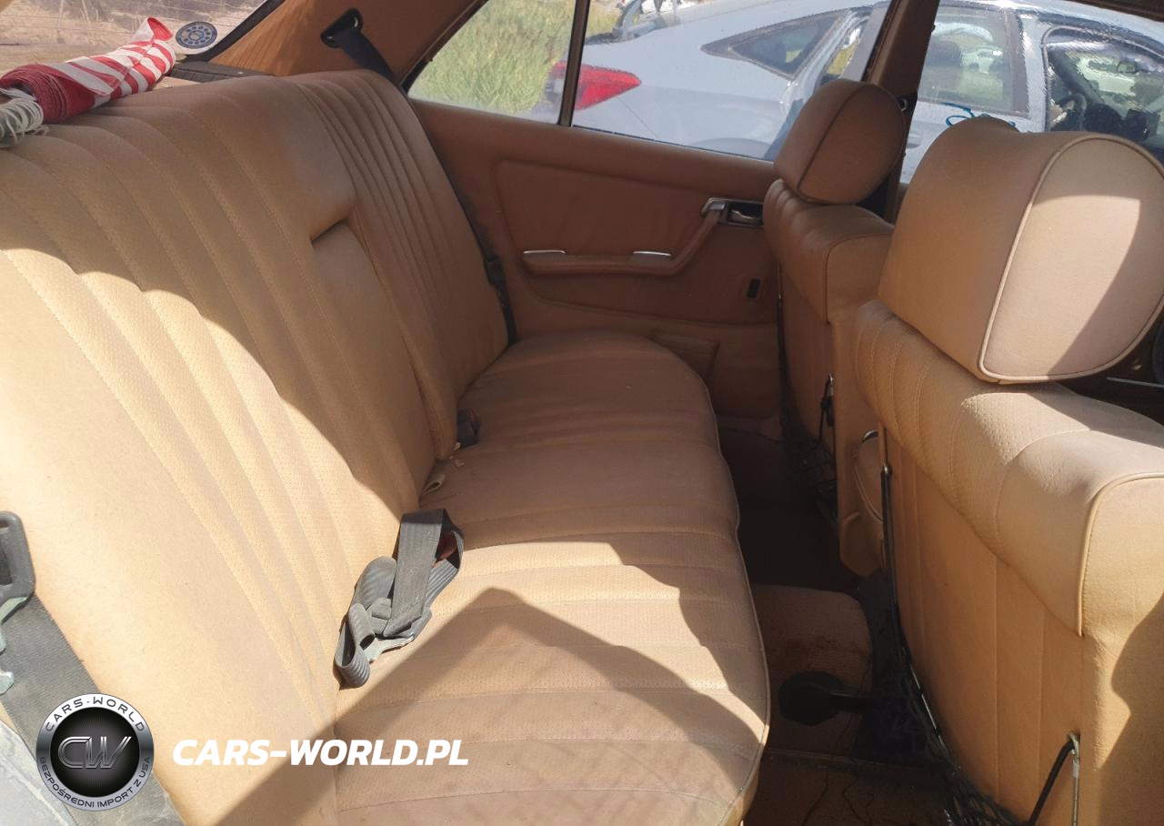 1982 Mercedes-Benz 300 Dt VIN:WDBAB33A2CB000769 - 10