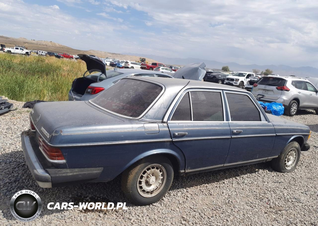 1982 Mercedes-Benz 300 Dt VIN:WDBAB33A2CB000769 - 3