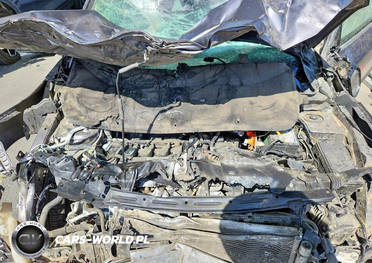 2019 Honda Civic Ex VIN:19XFC1F34KE209146 - 11