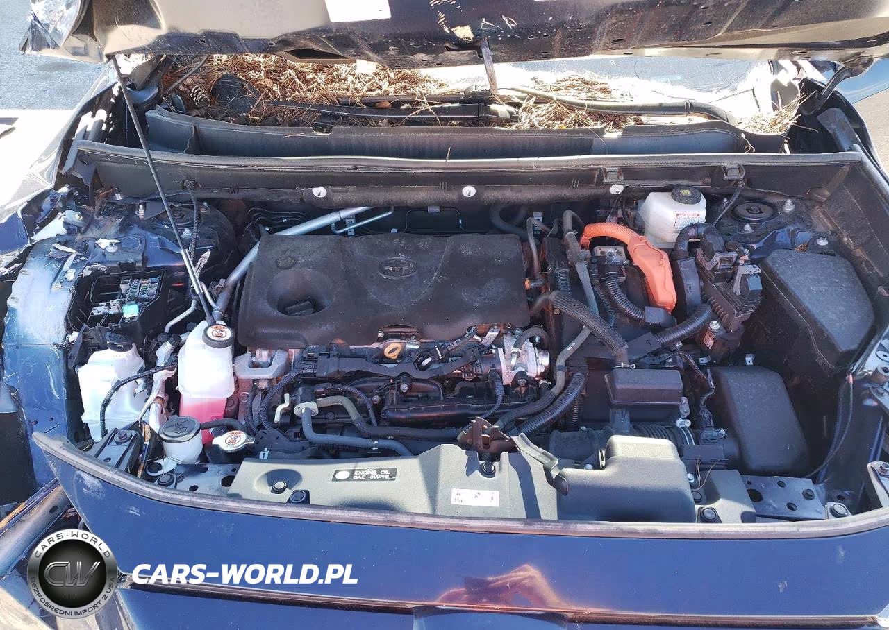 2024 Toyota Rav4 Hybrid Xle VIN:4T3RWRFV7RU137782 - 12