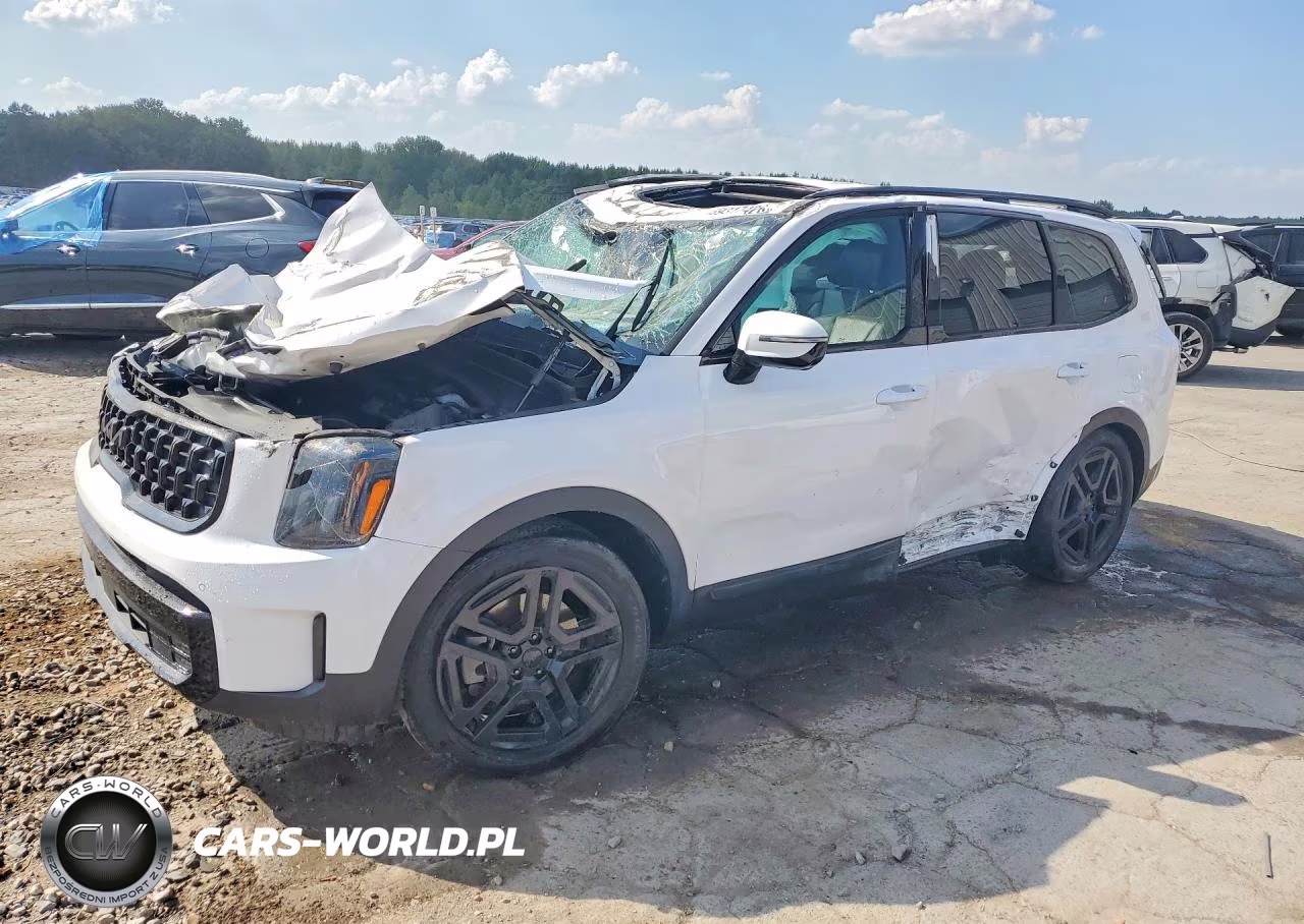 2025 Kia Telluride Sx-Prestige X-Line VIN:5XYP5DGC7SG660296 - 1