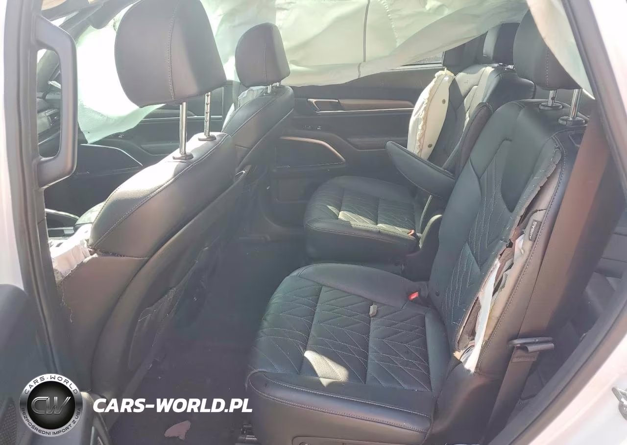 2025 Kia Telluride Sx-Prestige X-Line VIN:5XYP5DGC7SG660296 - 10