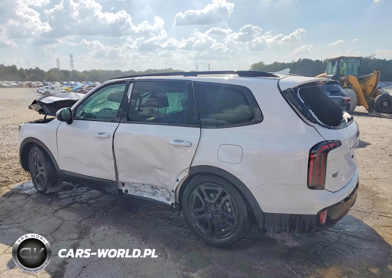 2025 Kia Telluride Sx-Prestige X-Line VIN:5XYP5DGC7SG660296 - 2