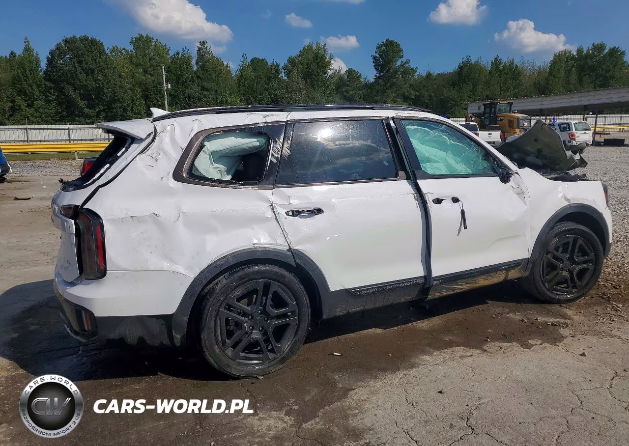 2025 Kia Telluride Sx-Prestige X-Line VIN:5XYP5DGC7SG660296 - 3