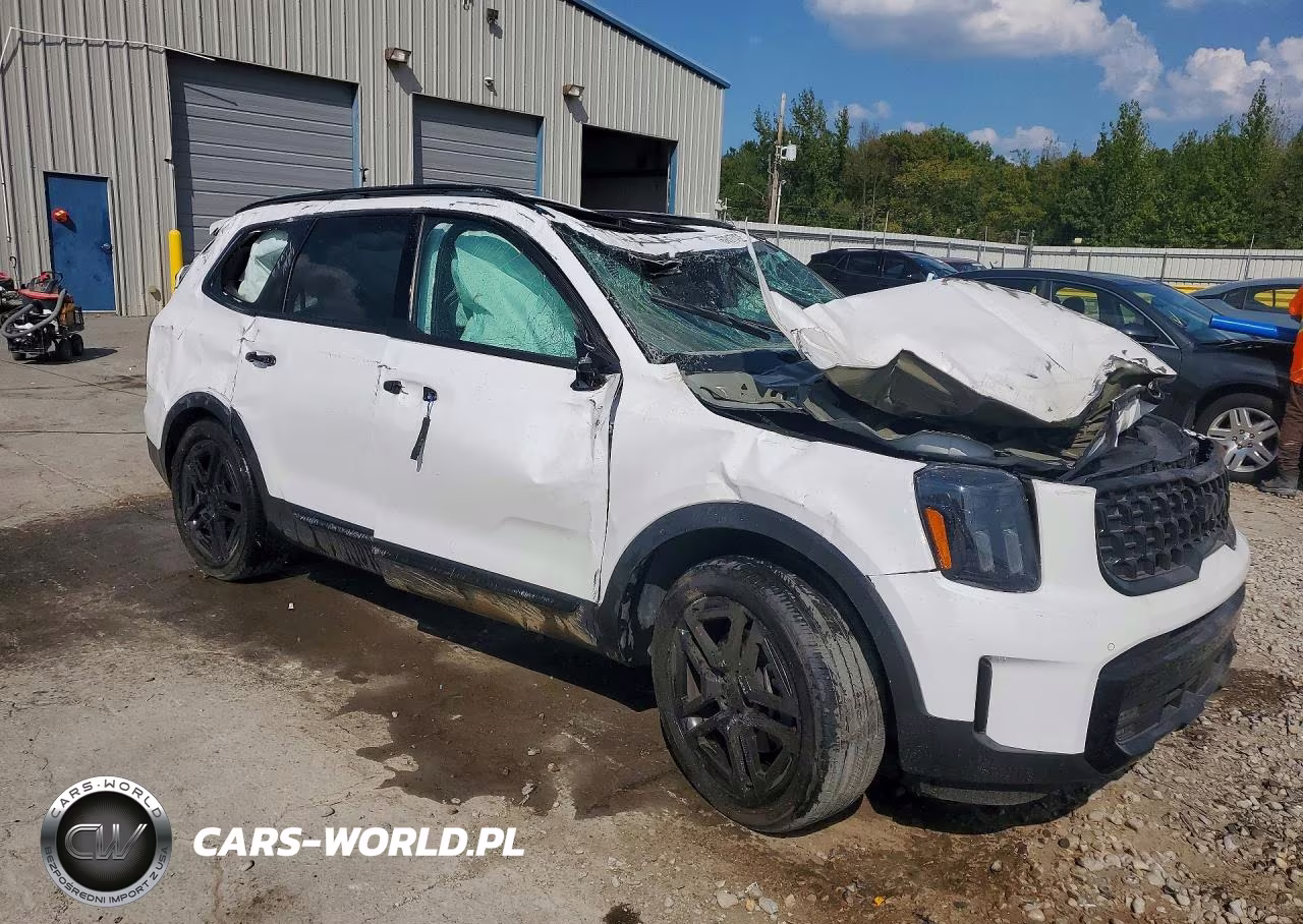 2025 Kia Telluride Sx-Prestige X-Line VIN:5XYP5DGC7SG660296 - 4