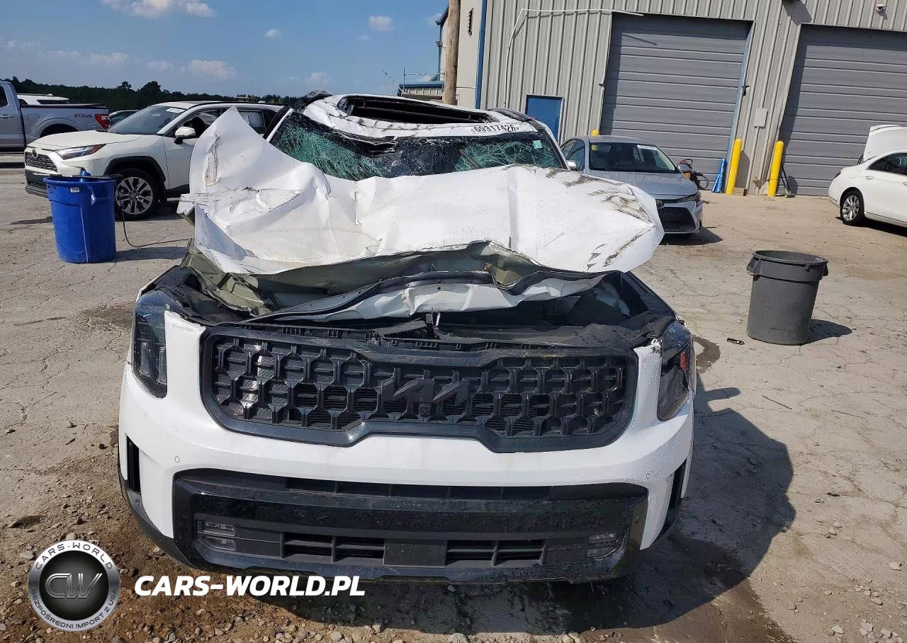 2025 Kia Telluride Sx-Prestige X-Line VIN:5XYP5DGC7SG660296 - 5
