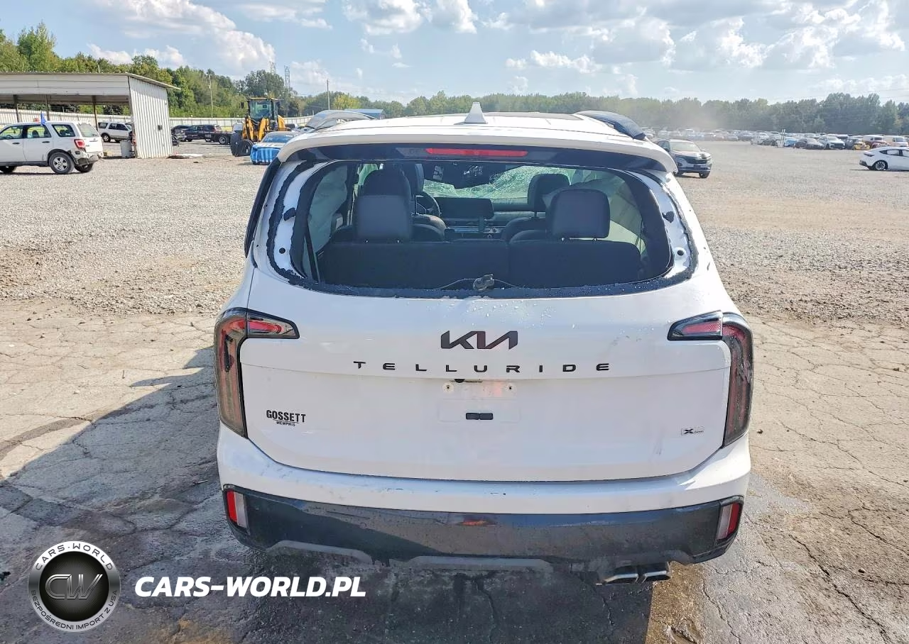 2025 Kia Telluride Sx-Prestige X-Line VIN:5XYP5DGC7SG660296 - 6