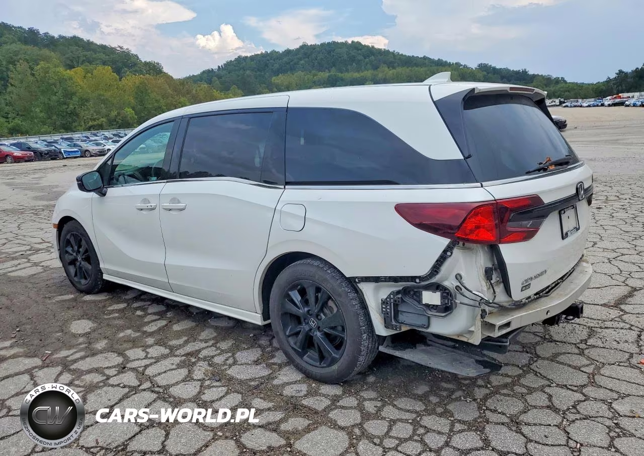 2023 Honda Odyssey Sport-L VIN:5FNRL6H72PB029238 - 2
