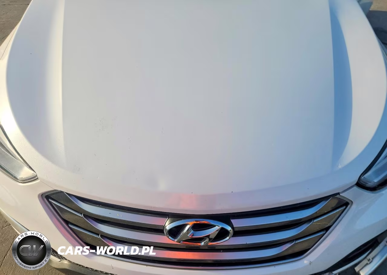 2016 Hyundai Santa Fe Sport 2.4L VIN:5XYZU3LBXGG365459 - 12