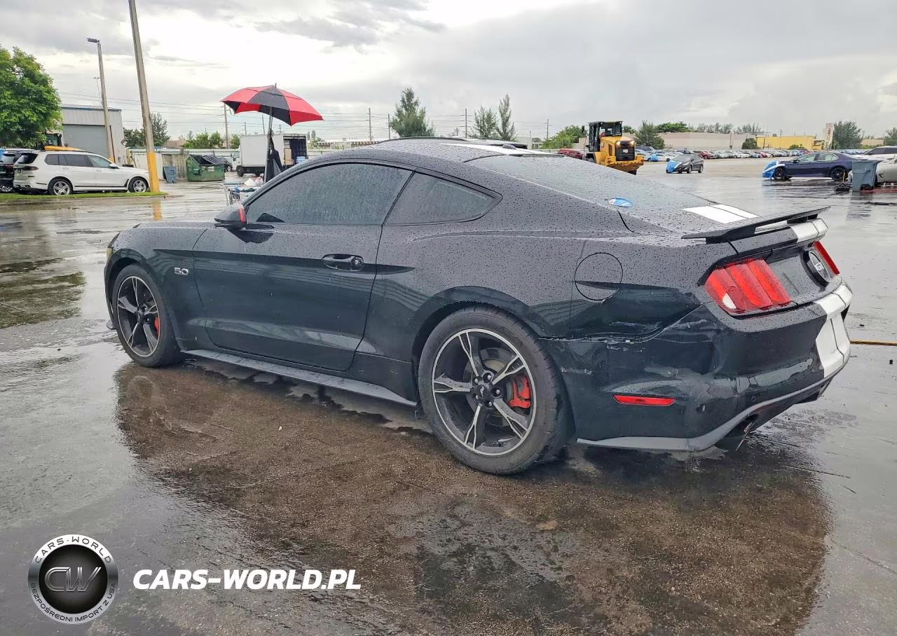 2016 Ford Mustang Gt VIN:1FA6P8CF4G5205022 - 2