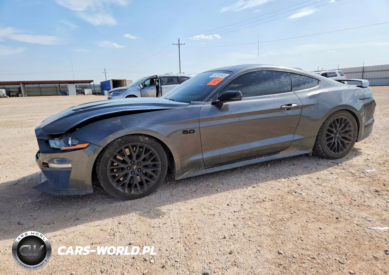 2019 Ford Mustang Gt VIN:1FA6P8CF4K5166098 - 1