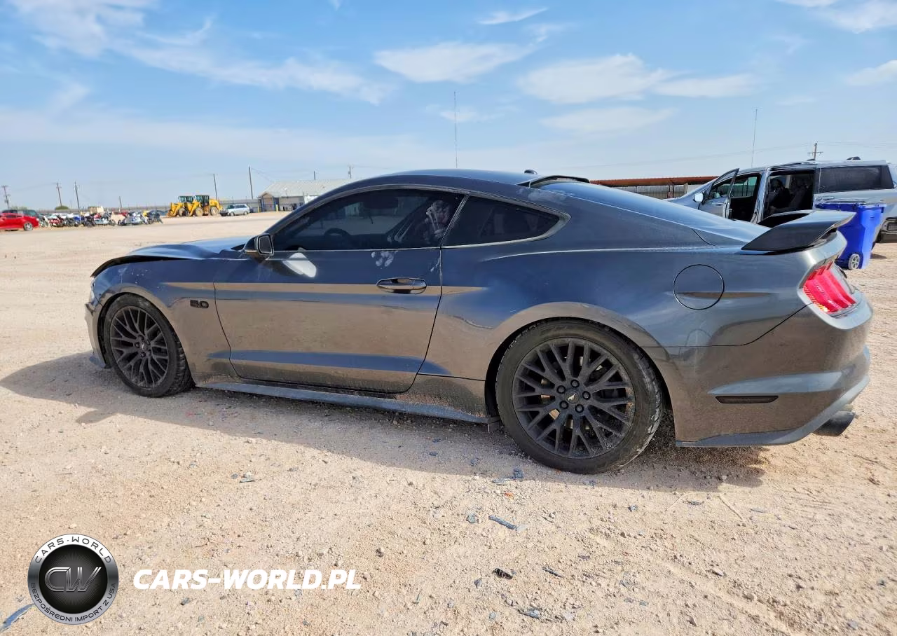 2019 Ford Mustang Gt VIN:1FA6P8CF4K5166098 - 2