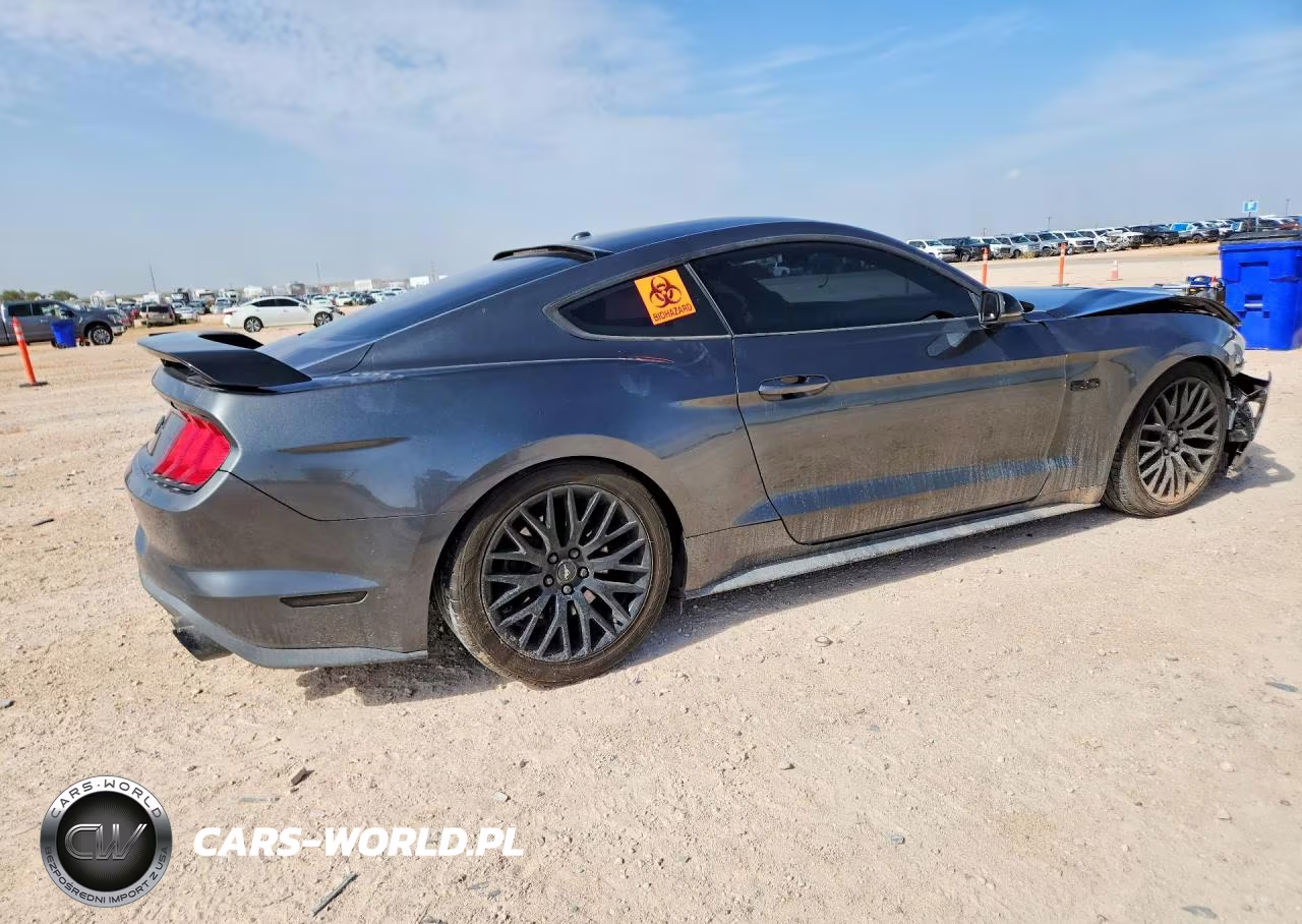 2019 Ford Mustang Gt VIN:1FA6P8CF4K5166098 - 3