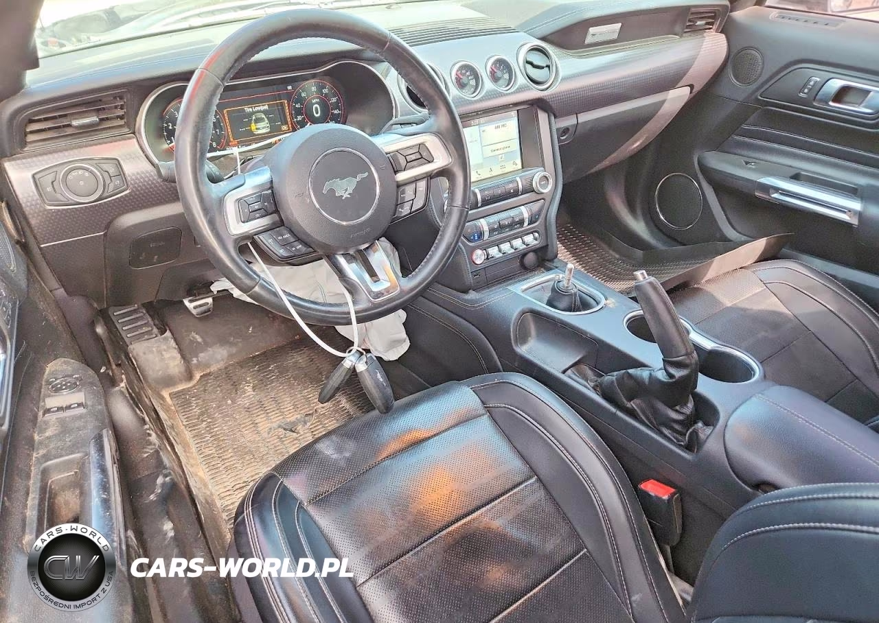 2019 Ford Mustang Gt VIN:1FA6P8CF4K5166098 - 8