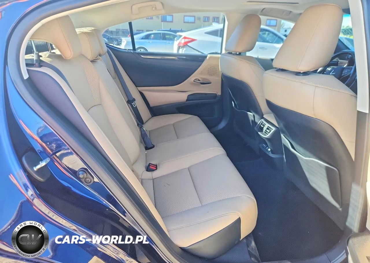 2020 Lexus Es 350 VIN:58ADZ1B13LU080589 - 10
