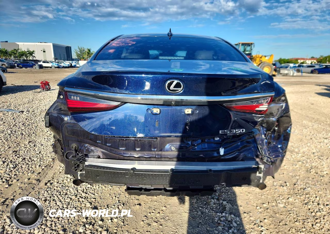 2020 Lexus Es 350 VIN:58ADZ1B13LU080589 - 6