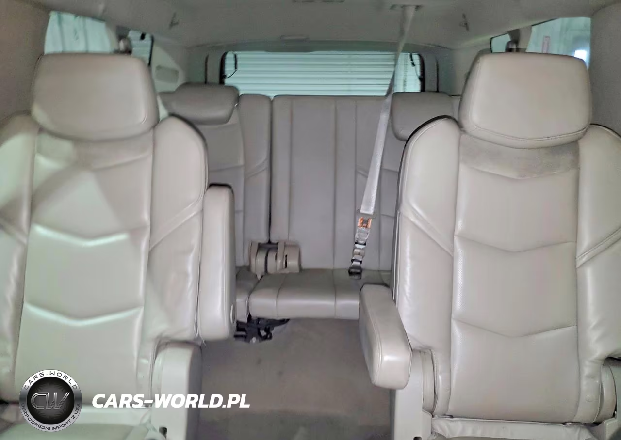 2020 Cadillac Escalade Esv Luxury VIN:1GYS4HKJXLR254617 - 10