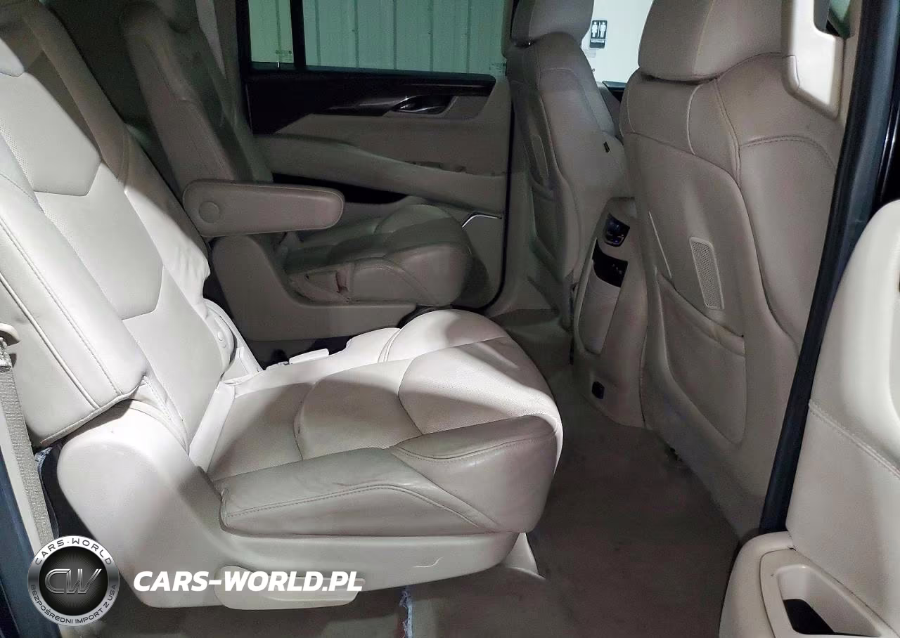 2020 Cadillac Escalade Esv Luxury VIN:1GYS4HKJXLR254617 - 11
